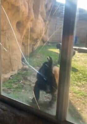 Cut 1772252595 aQvJb98