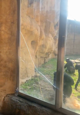 ScreenShot Tool 20260228160017