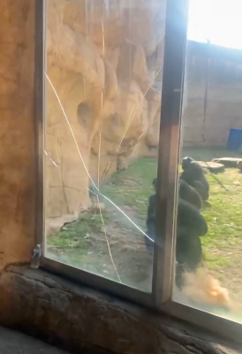 ScreenShot Tool 20260228160029