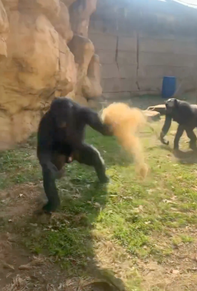 ScreenShot Tool 20260228155943