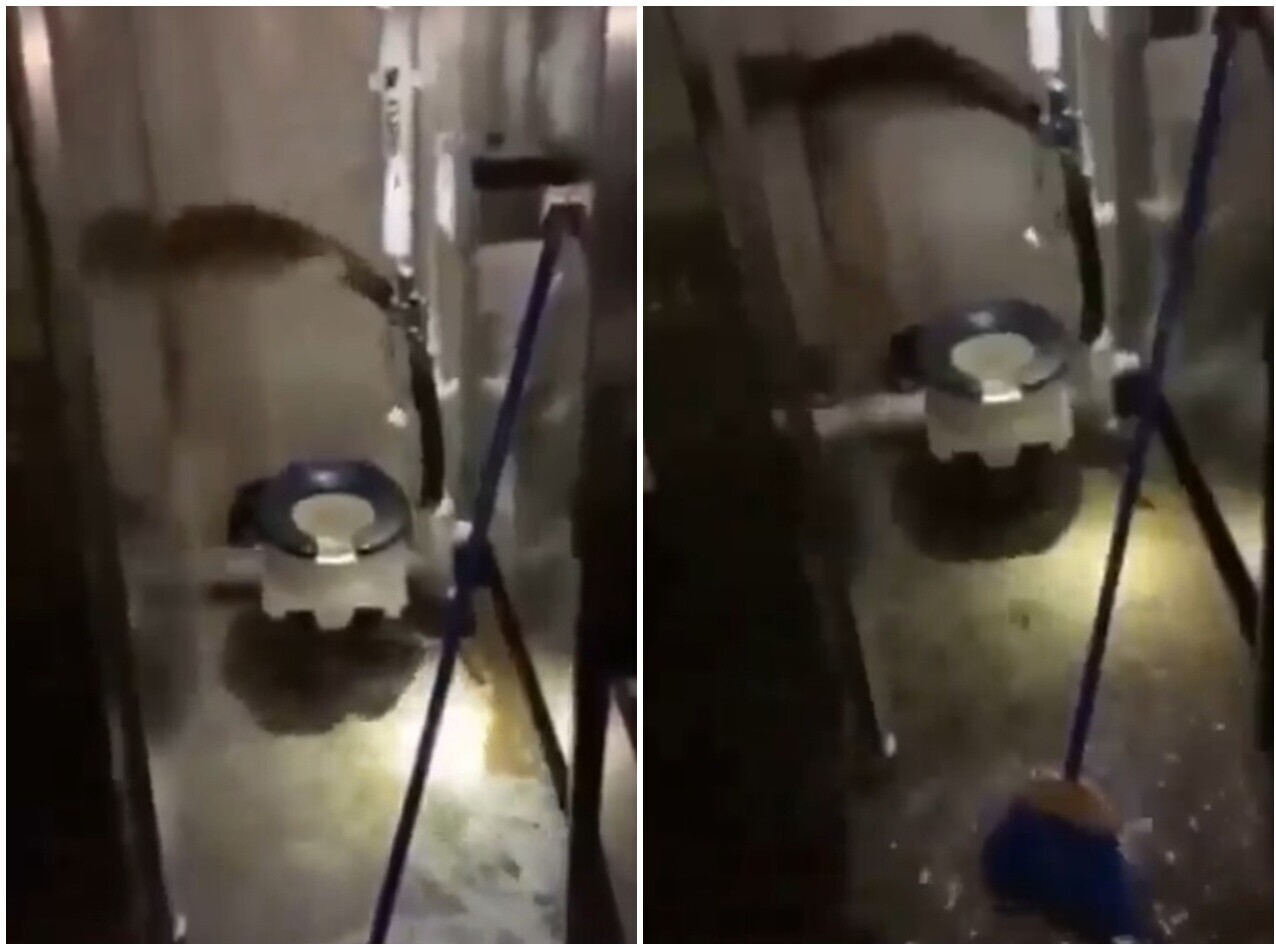千億元航母「福特號」爆糞便危機,排泄物洶湧噴飛,士兵崩潰清理。(X)