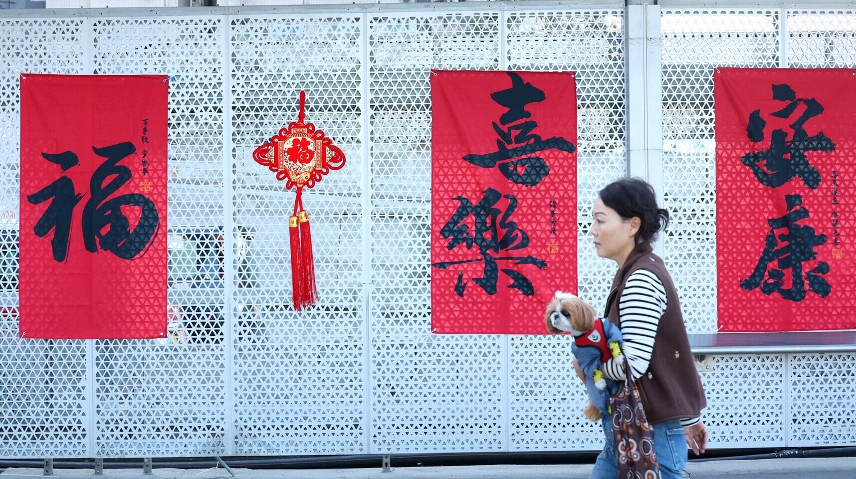 20260205LamCY 農歷新年配相06