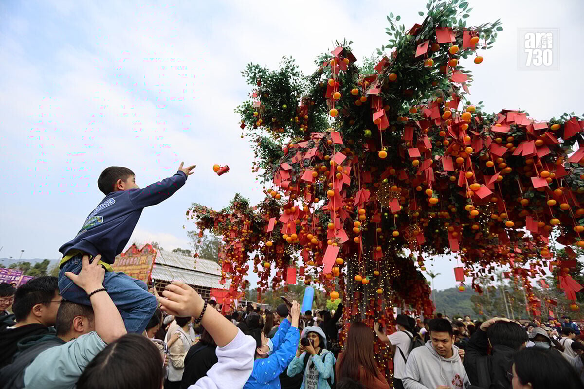 2026年丙午馬年，不少市民在農曆新年假期外出賀年，圖為林村許願樹。(資料圖片／鍾式明攝)