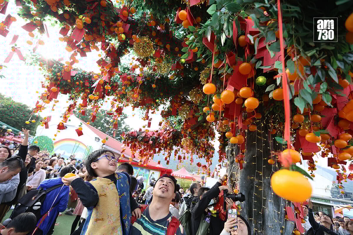 2026年丙午馬年，不少市民在農曆新年假期外出賀年，圖為林村許願樹。(資料圖片／鍾式明攝)