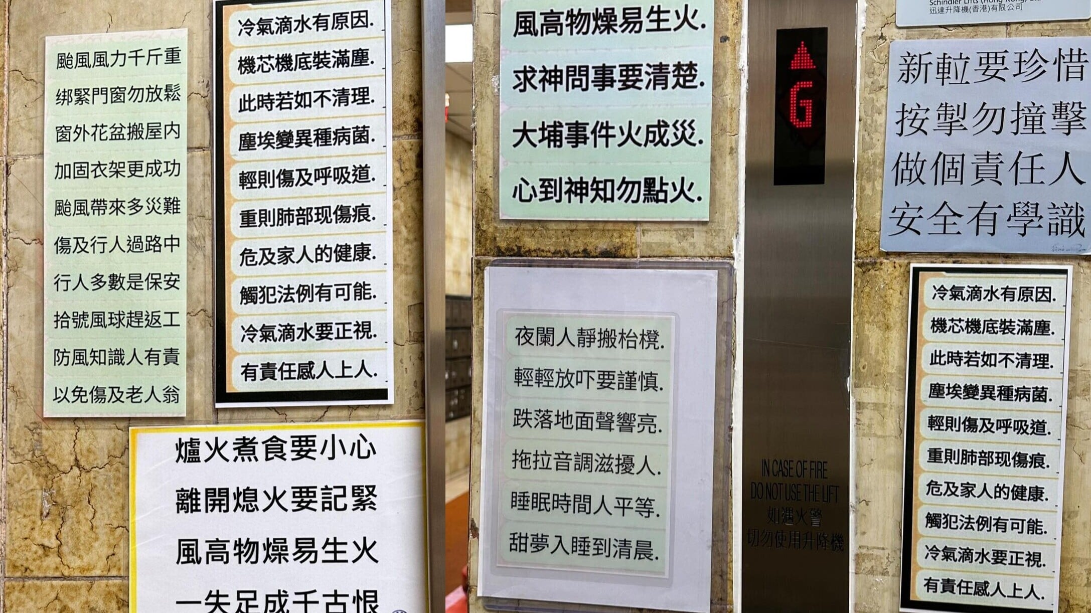 637743021 10168009504858018 985978233694473816 n horz