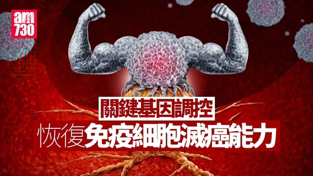醫學新發展 關鍵基因調控 或能恢復免疫細胞滅癌功能