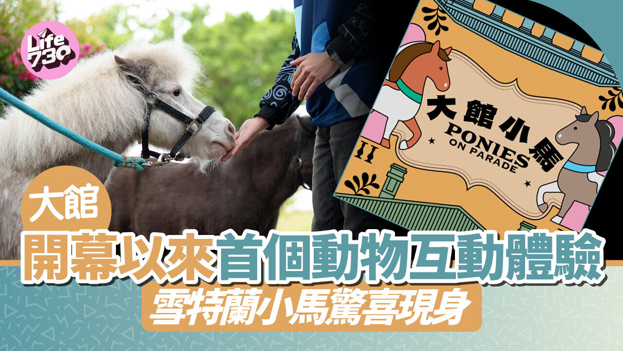 親子好去處｜大館開幕以來首個動物互動體驗 與雪特蘭小馬零距離接觸（附購票入場方法）