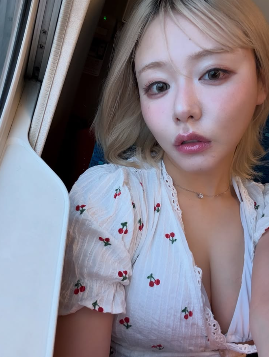 螢幕擷取畫面 2026 03 12 173106