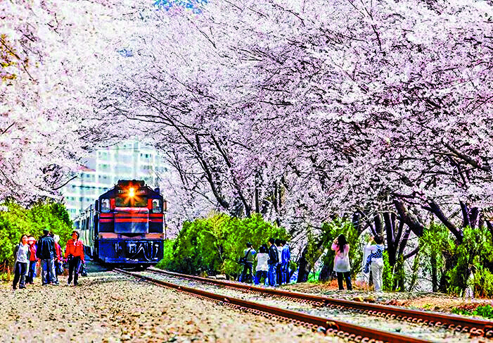 S5旅遊 3col 01