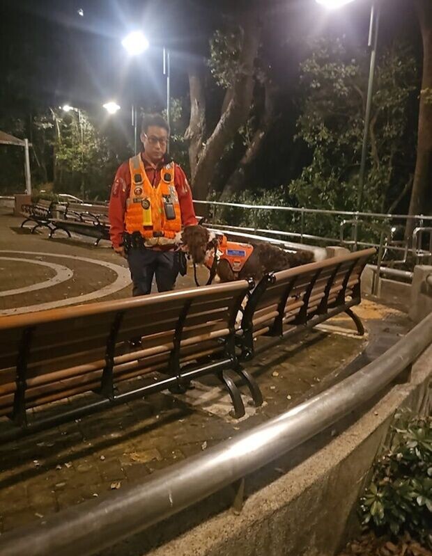 「香港守望者服務團」14日晚於大埔運頭塘一帶搜索。(「香港守望者服務團」提供)