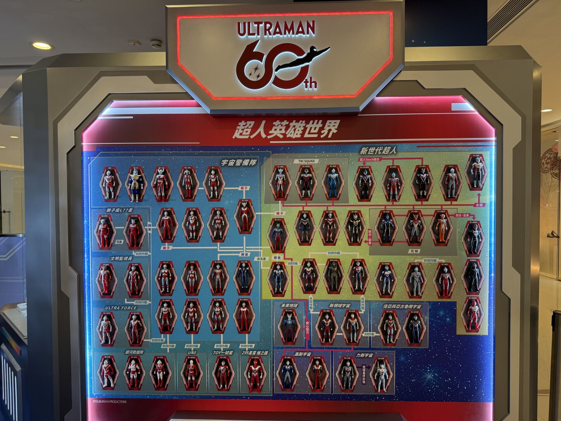 IMG 0114 结果