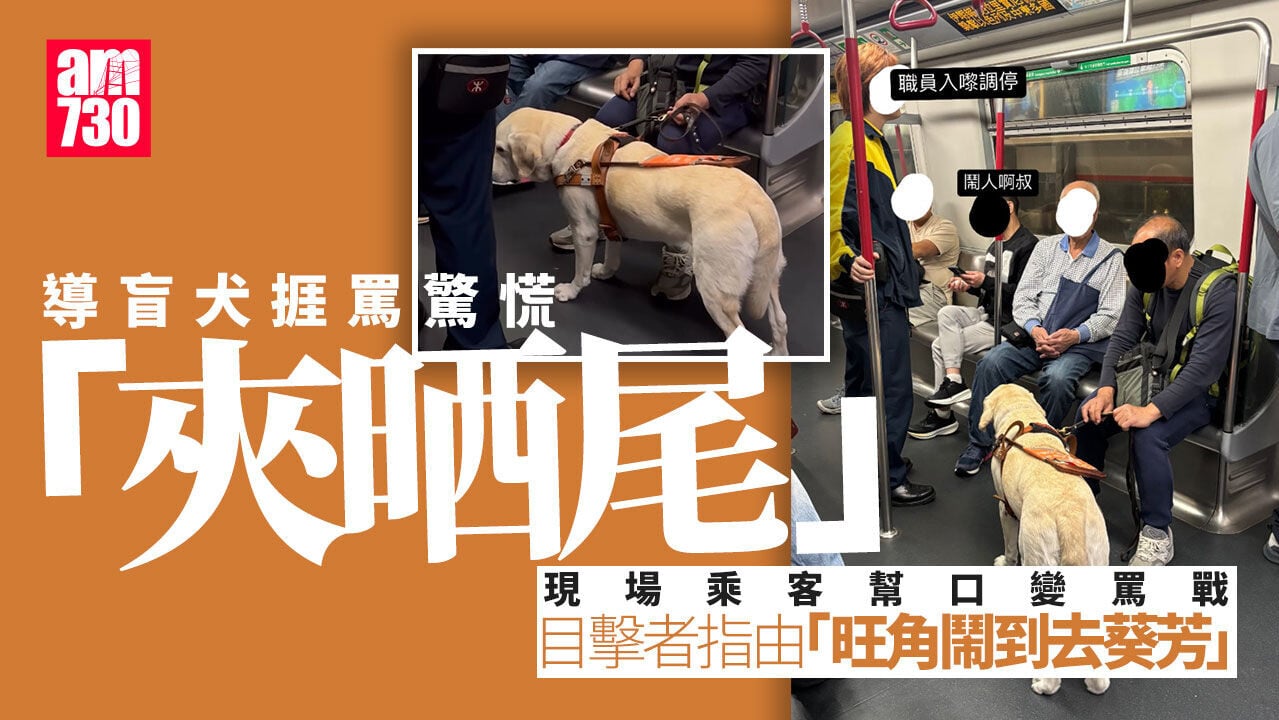 導盲犬搭港鐵捱罵露驚慌反應 網民心酸：佢以為自己做錯事(有片)