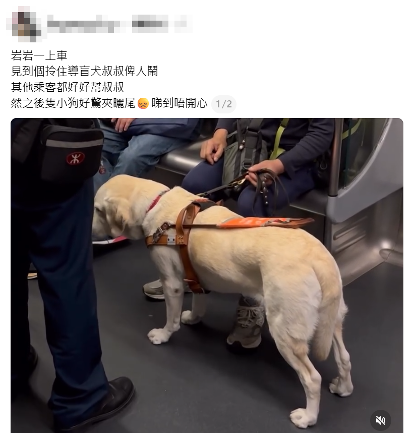 一名失明男子帶同導盲犬從旺角站乘搭港鐵,惟被另一名中年男子不斷責罵,導盲犬露出驚慌舉動,港鐵職員介入處理。(Threads)