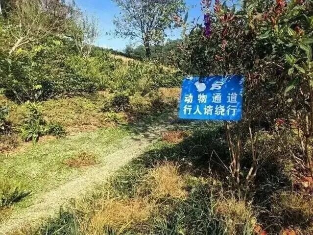 深圳鯤鵬徑一號橋有清晰標示牌,以免市民走進野生地帶,影響動物的生態環境。(圖片來源:幸福福田—中共深圳市福田區委宣傳部)