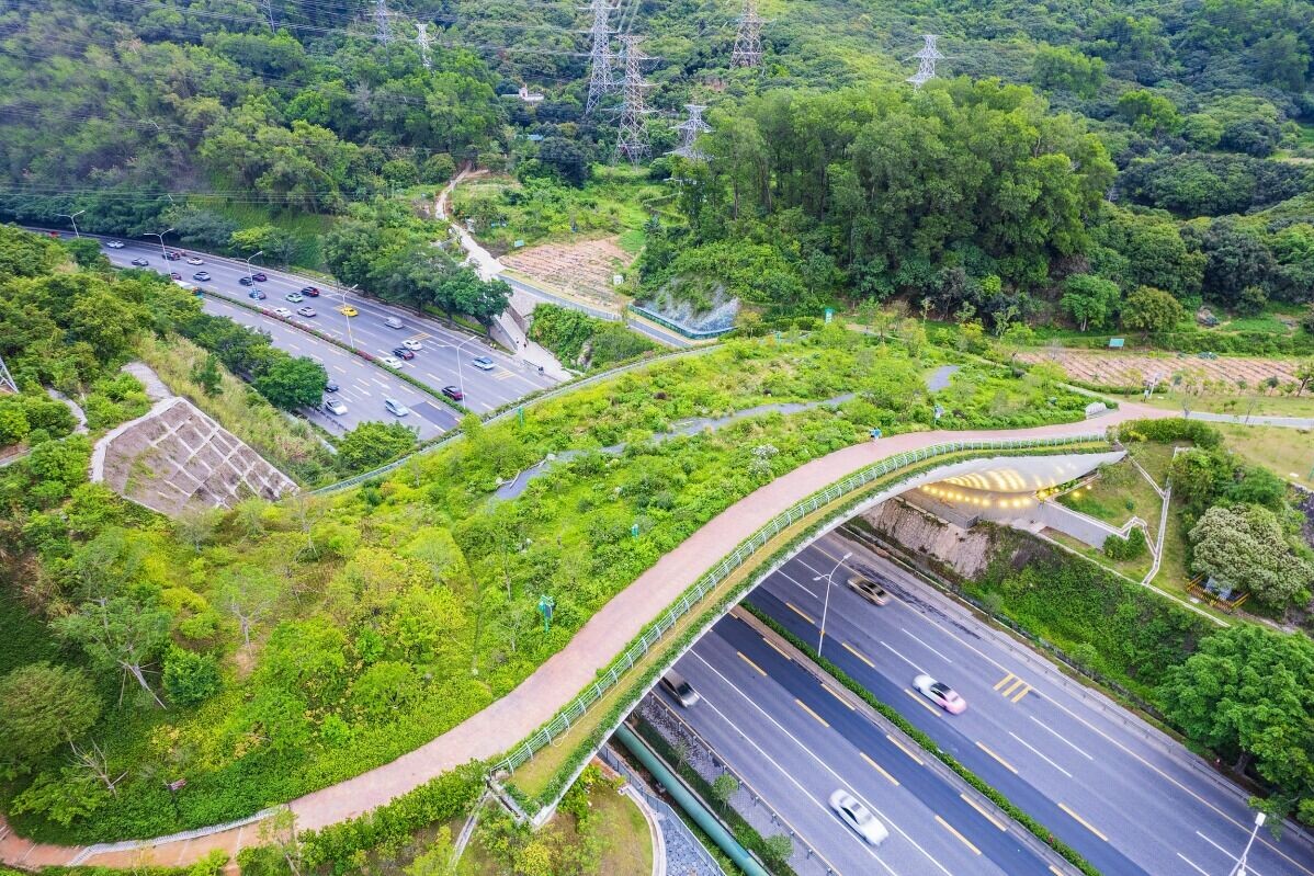 深圳鯤鵬徑一號橋跨徑達60米,闊度達48.4米,創新採用裝配式建造方式,是全國首座大跨度裝配式「鋼管混凝土組合拱肋-疊合板橋面結構」的生態廊橋 。(圖片來源:視覺中國)