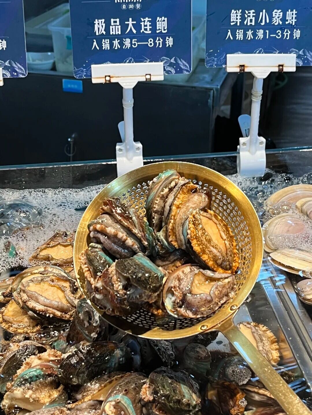 3 舟市水产的小鱼🐟 来自小红书网页版