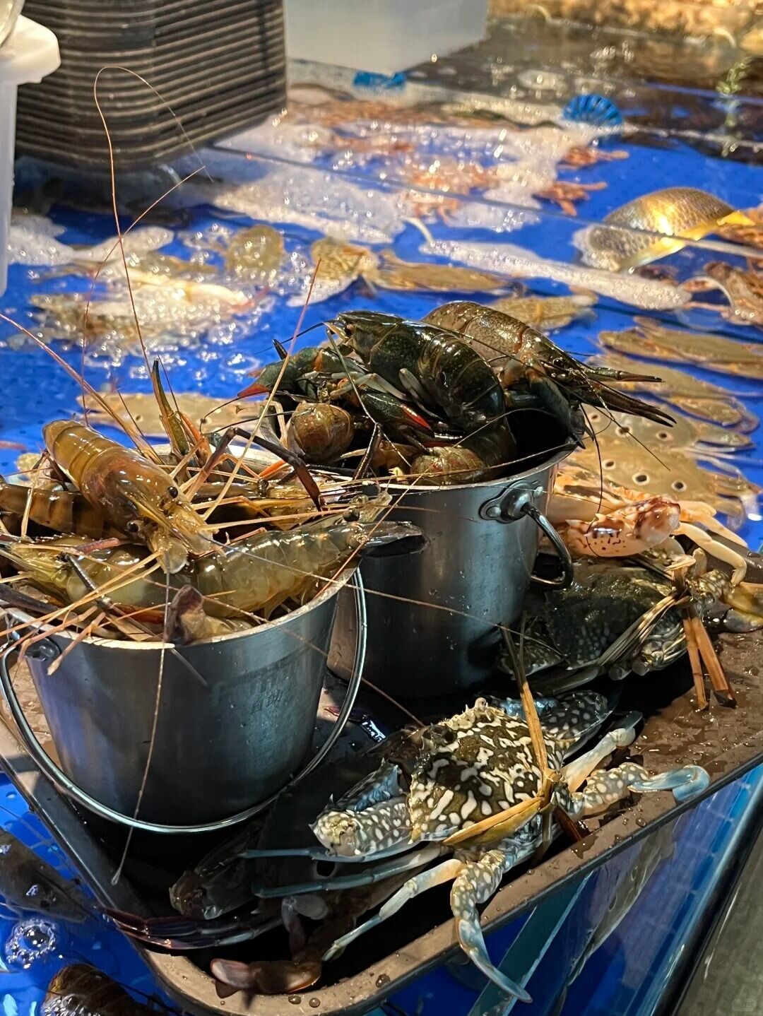 1 舟市水产的小鱼🐟 来自小红书网页版