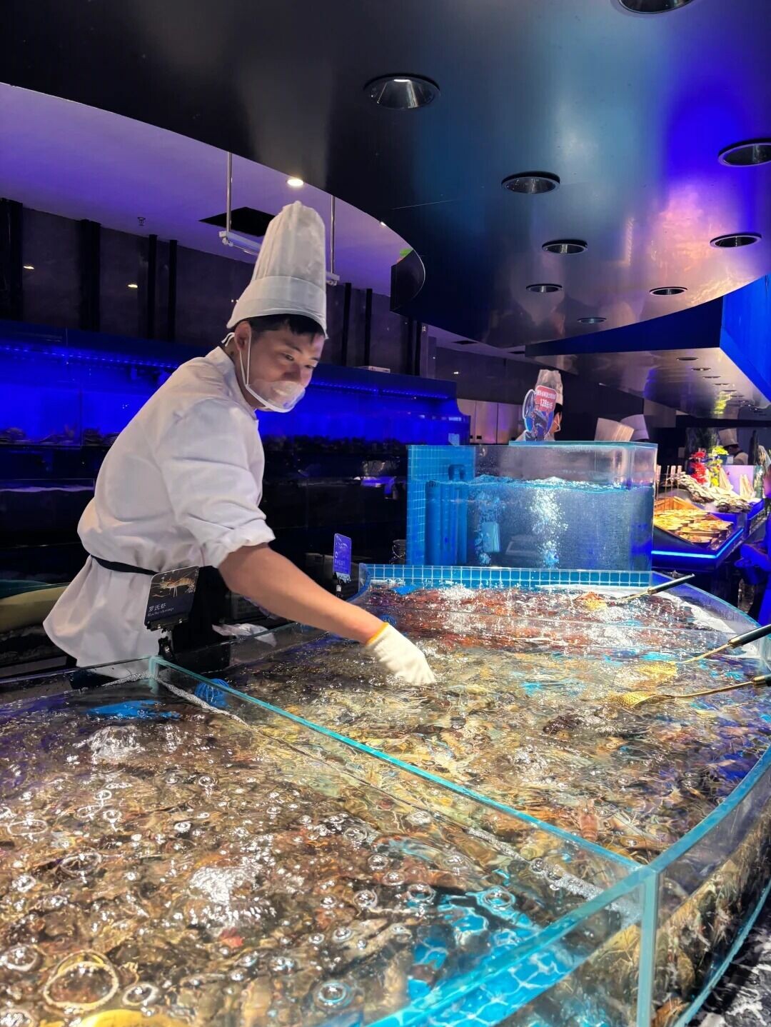 打卡深圳KKone顶界 ¥200一位海鲜自助 1 早睡小狗 来自小红书网页版