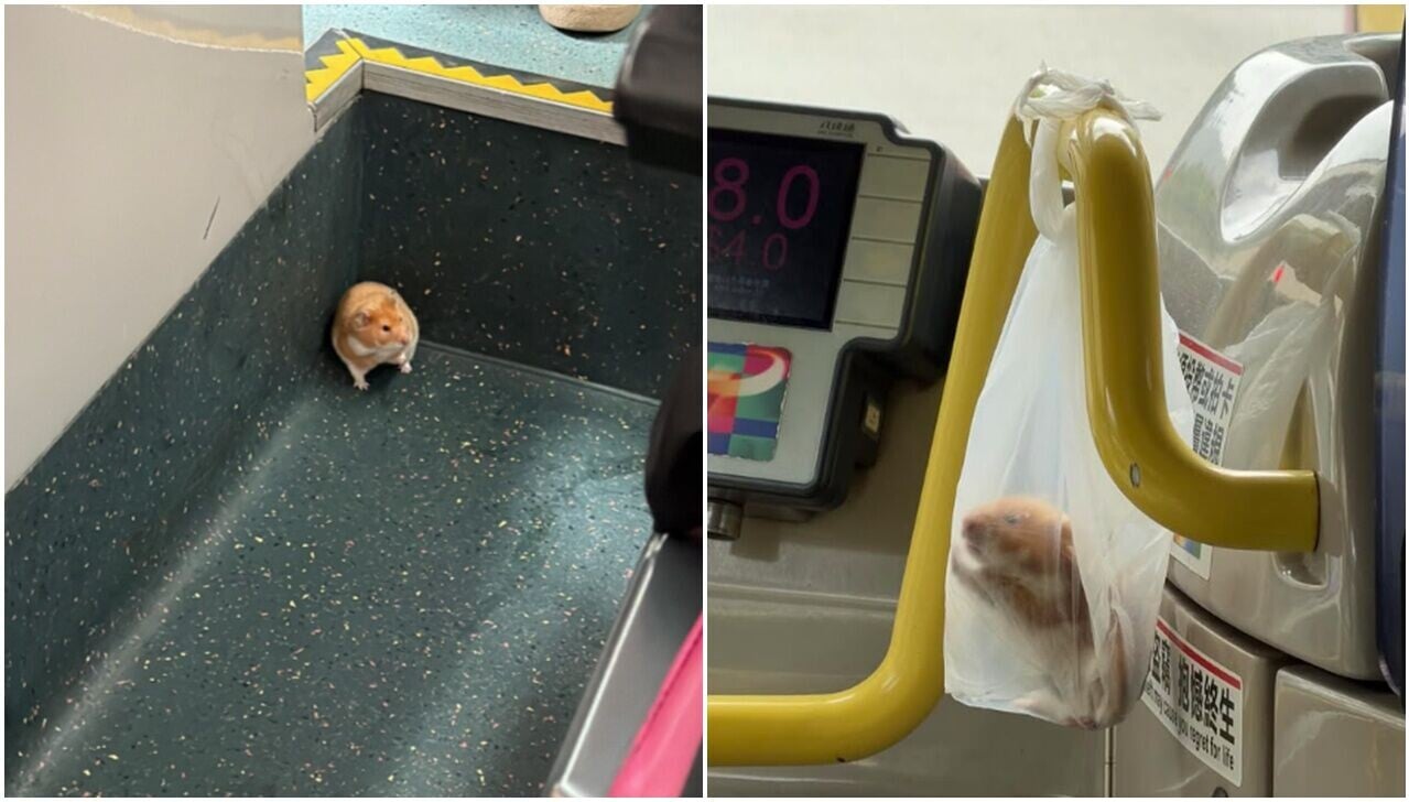 圖檔