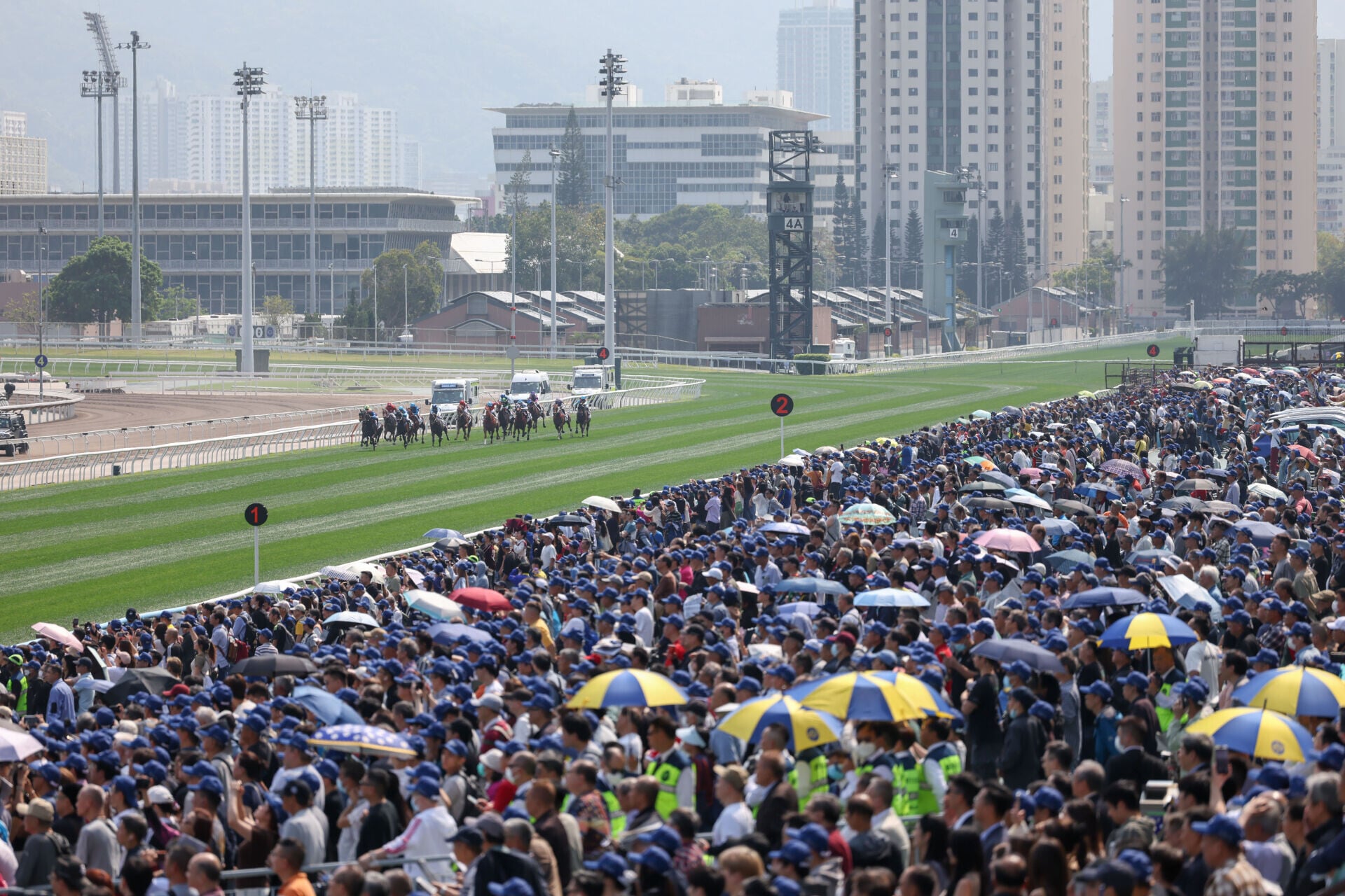 寶馬香港打吡大賽吸引逾七萬二千五百多人入場觀賽,創下歷來此賽新高。(馬會圖片)