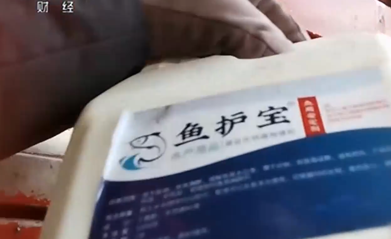 央視記者直擊商戶向活魚倒入麻藥「丁香酚」甚至工蘇業用酒精。(互聯網)