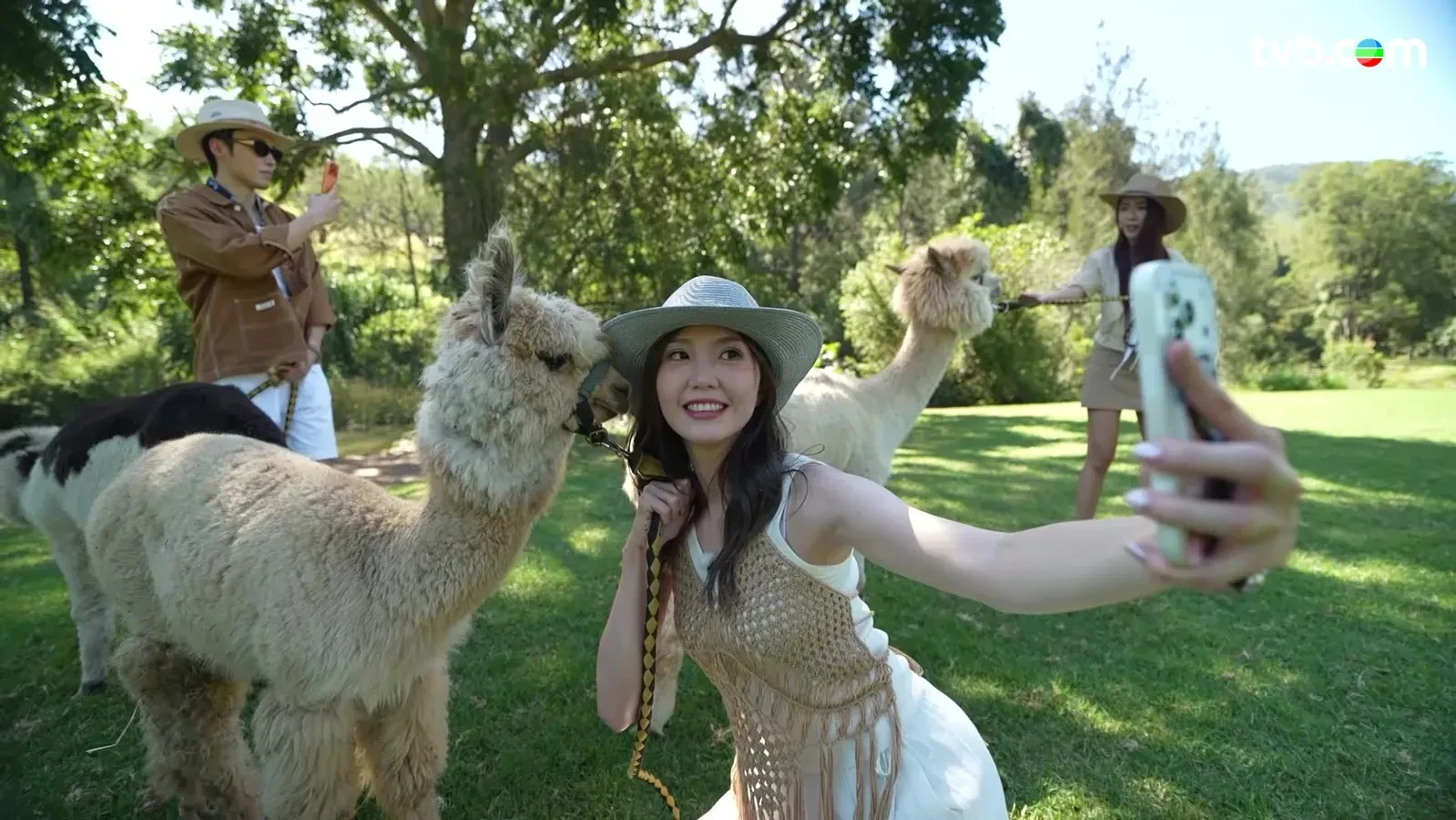 Bb0df6a3 f8af 4ef9 851f 806bb86407d1