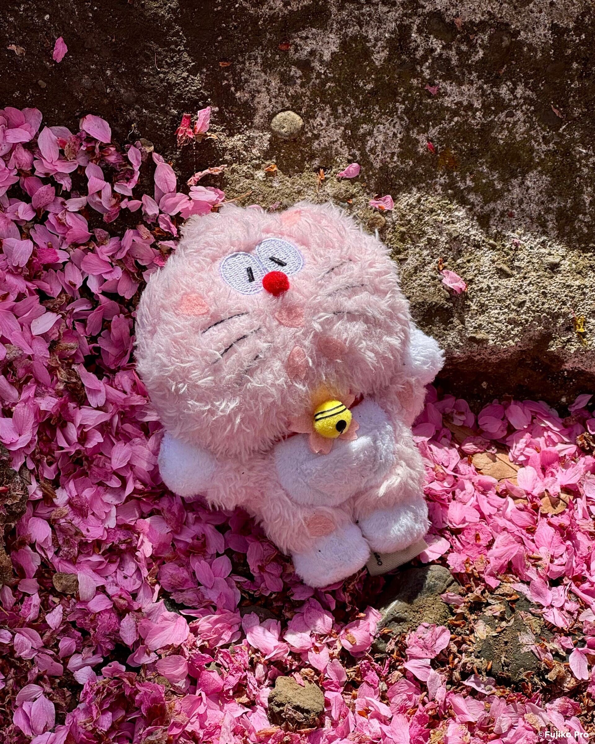 Sakura Doraemon 1