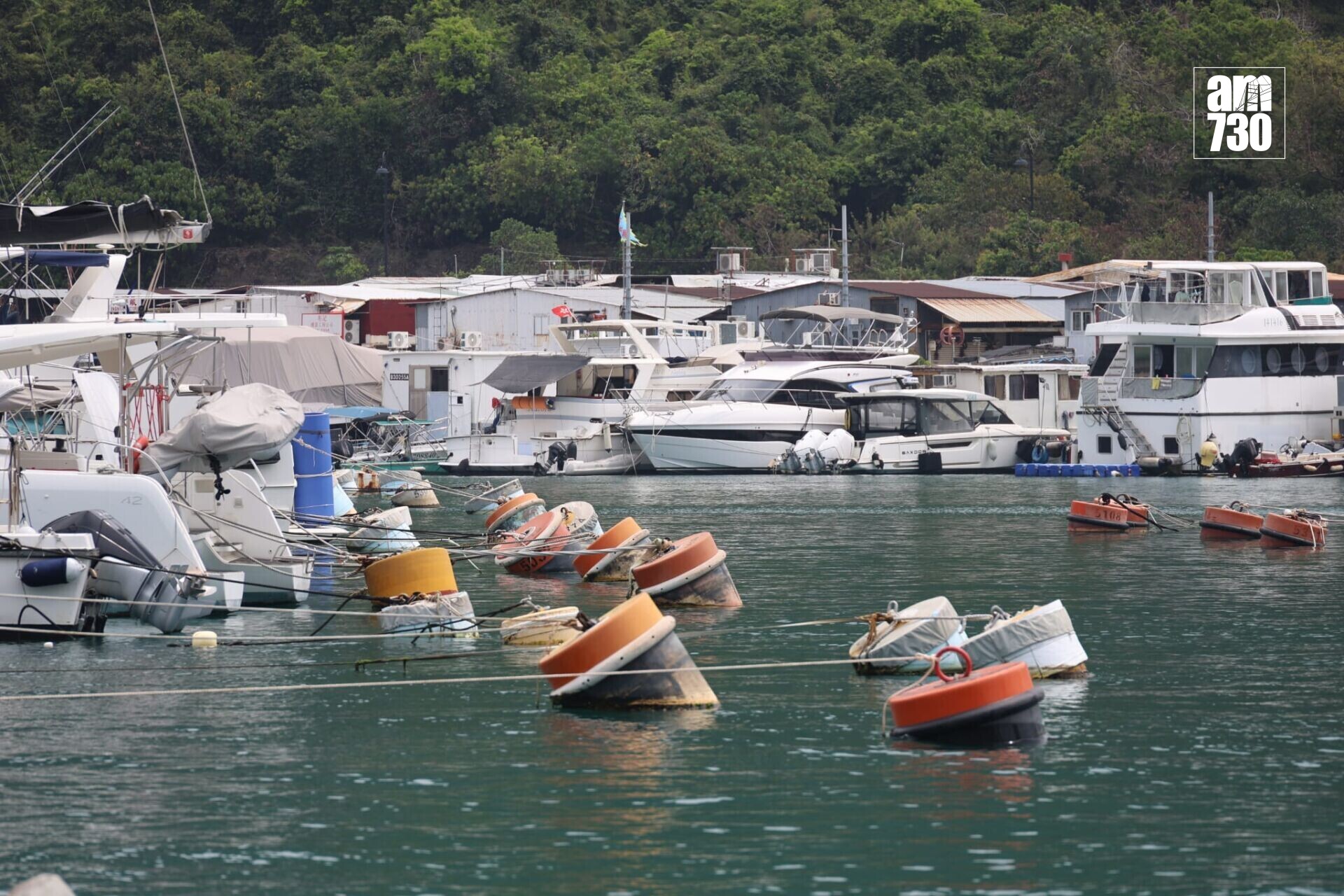 香港仔避風塘擬興建200個遊艇泊位,業界期望提供更大型泊位。(鍾式明攝)