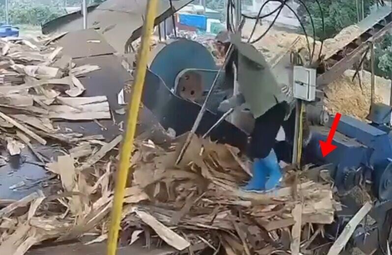 陳氏蘭懷疑站立距離碎木機入口太近,意外連同碎木材被輸送帶捲進機口。(X)
