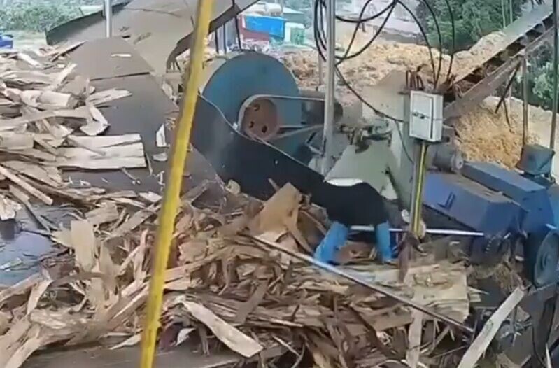 女工亦無法將陳氏蘭拉出,只能眼睜睜看著陳氏蘭整個人被機器吞沒。(X)
