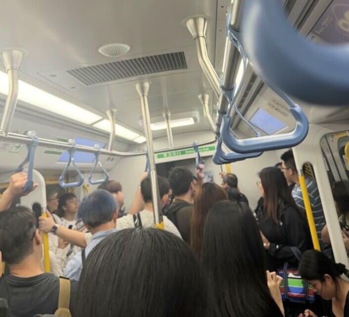 有人疑進入路軌範圍,東鐵綫現時服務受阻。(連登討論區)