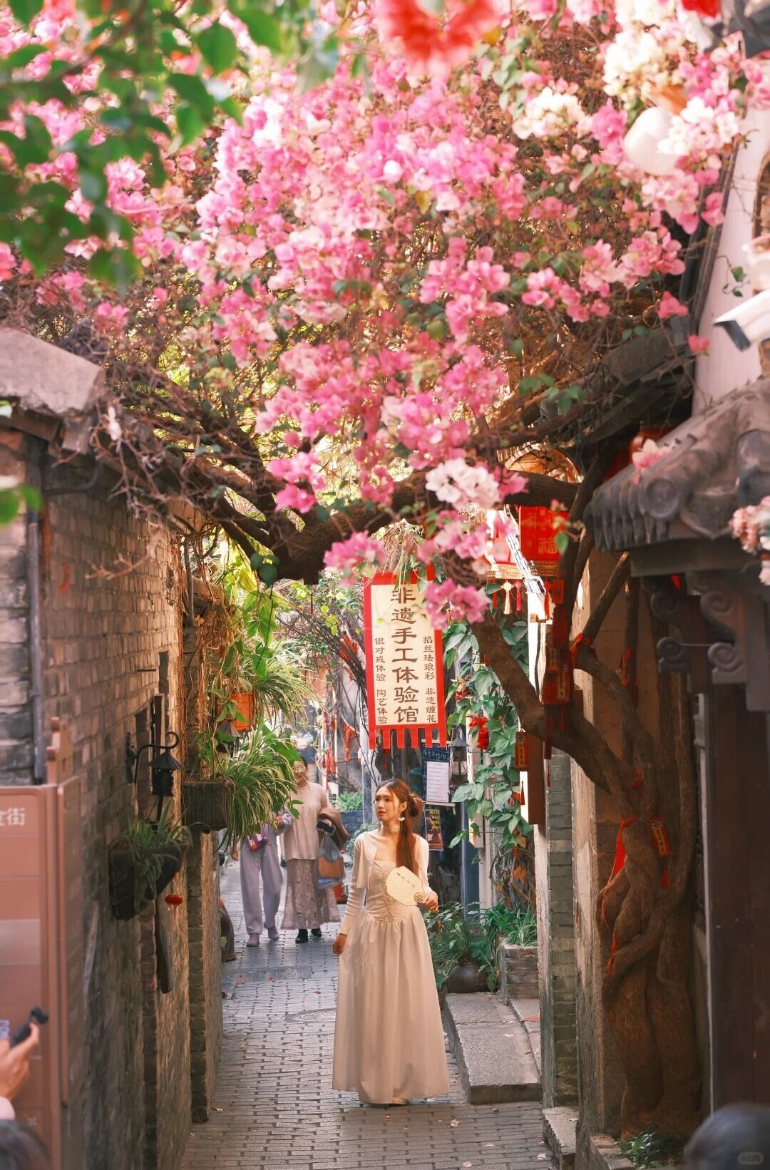 深圳📍藏在市井里免费花海🌸地铁直达❗️ 4 洁哥不是哥 来自小红书网页版