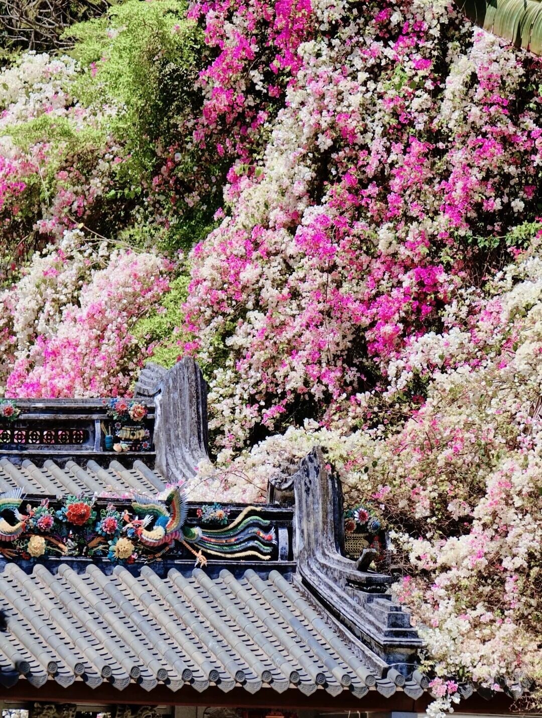 深圳园博园|半天不费腿私藏出片路线公开 4 雅煾 来自小红书网页版