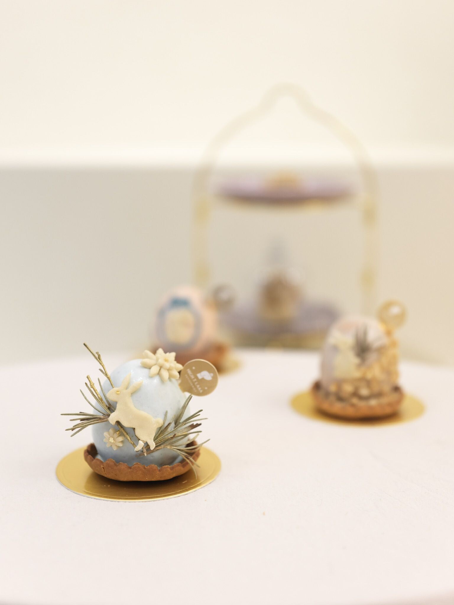 寵物蛋糕DIY工作坊 (2)