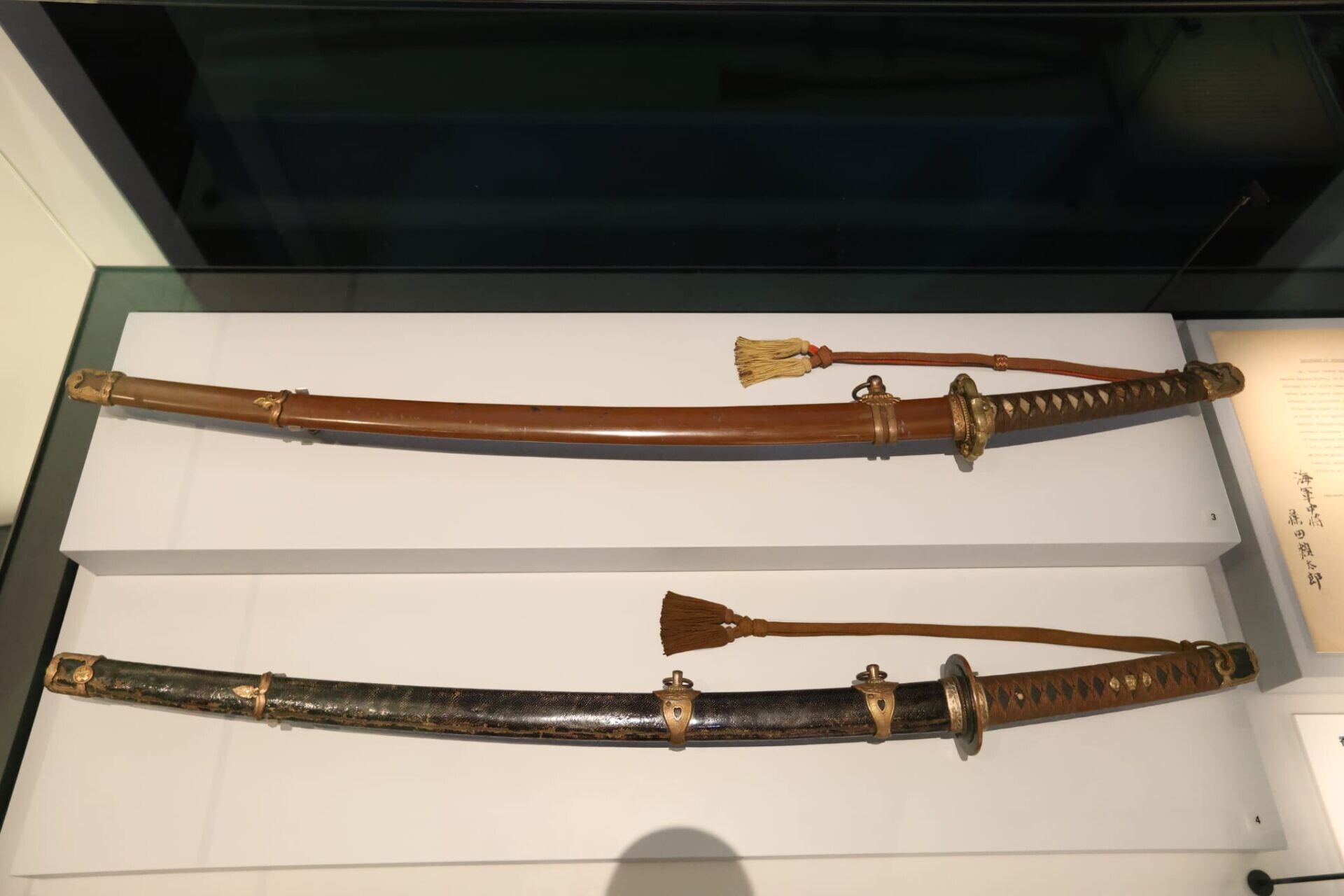 WhatsApp Image 2026 03 31 at 17.03.33 (1)