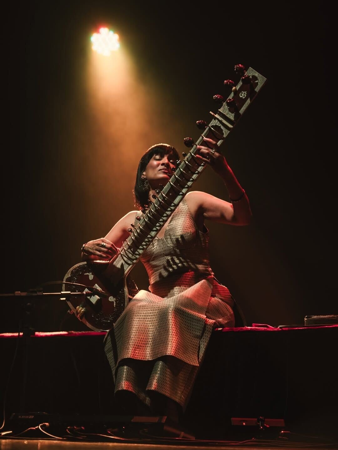 Anoushka Shankar 3