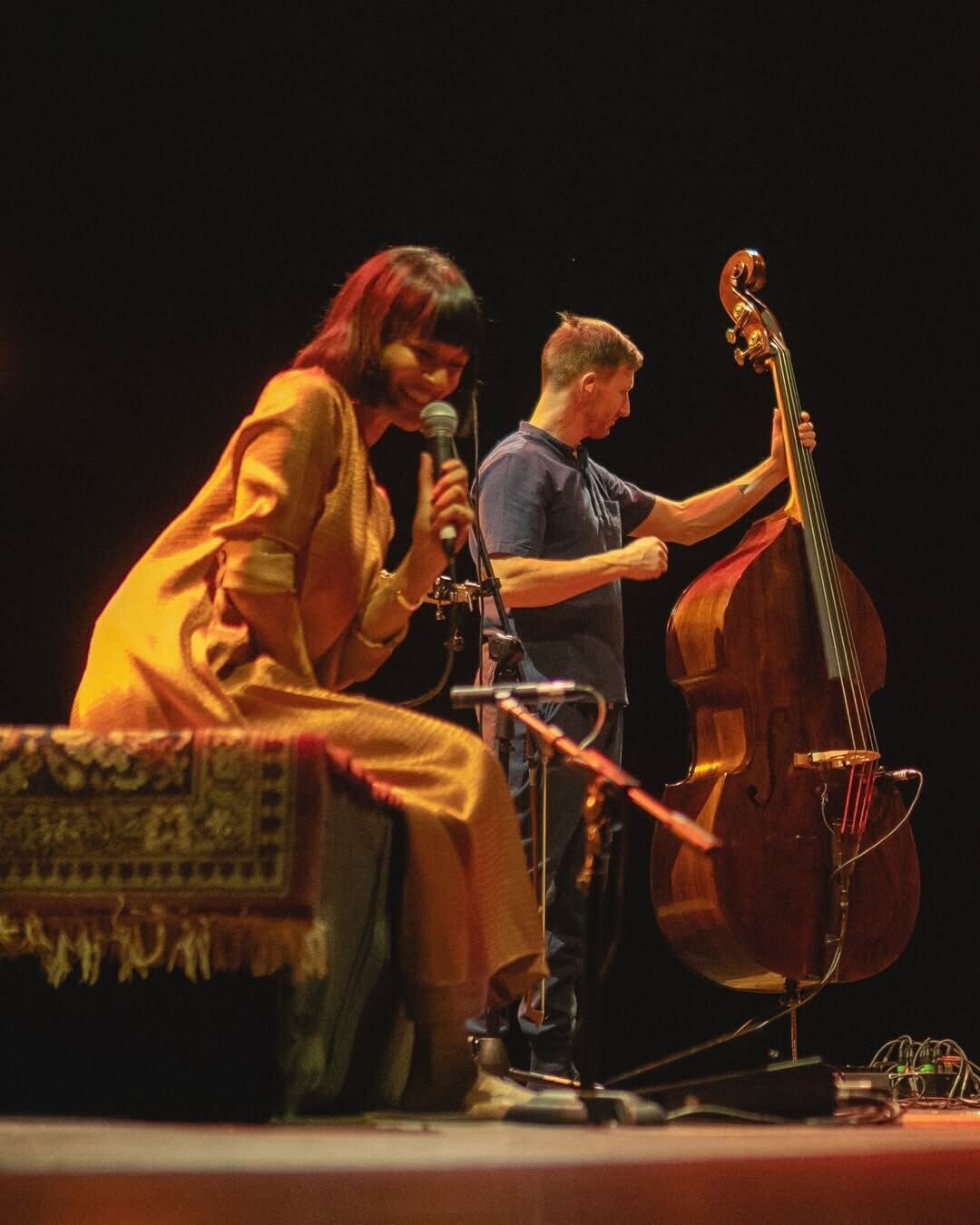 Anoushka Shankar 5