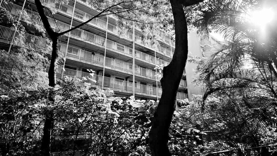 建築人生02