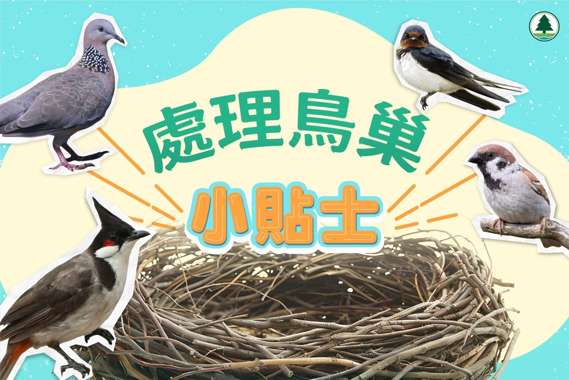 處理鳥巢小貼士（漁護署）