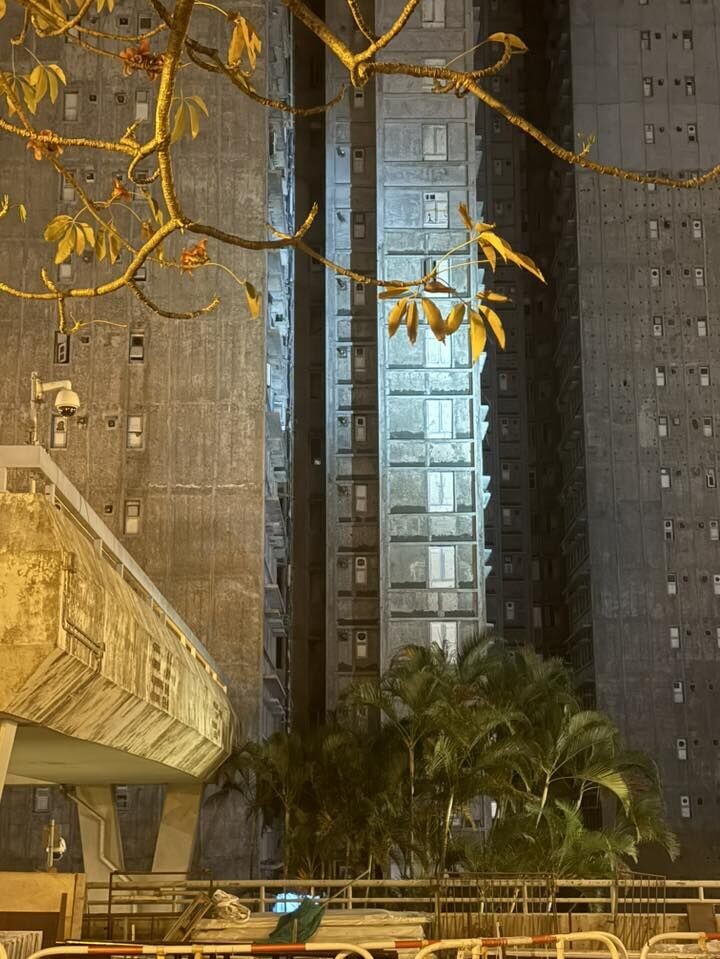 有街坊發現宏福苑有單位夜晚出現燈光,向在場警員講述事件後,警員用電筒照射大廈外牆調查。(大埔 TAI PO FB)