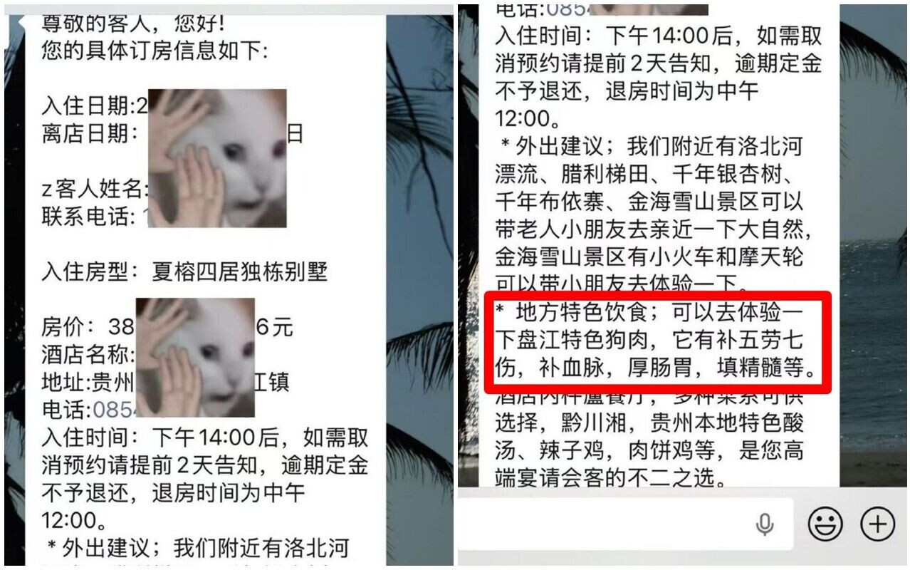 事主收到酒店短信推薦盤江特色狗肉和功效,最終取消入住,同時提醒他人「避坑」。(微博)