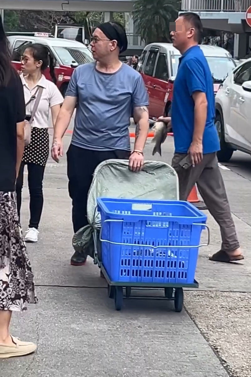 筲箕灣有一條鮮魚跌出馬路「紮紮跳」,其後被一名男子徒手生擒拾起。(Threads影片截圖)