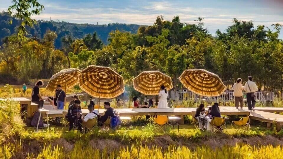 雲南旅居族在普洱老爪箐村露營,喝咖啡聊天,享受滇式慢生活。(網上圖片)