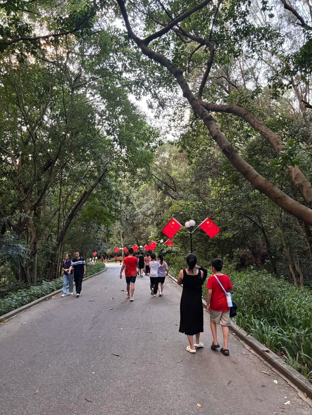 登顶莲花山公园 7 柠檬 来自小红书网页版
