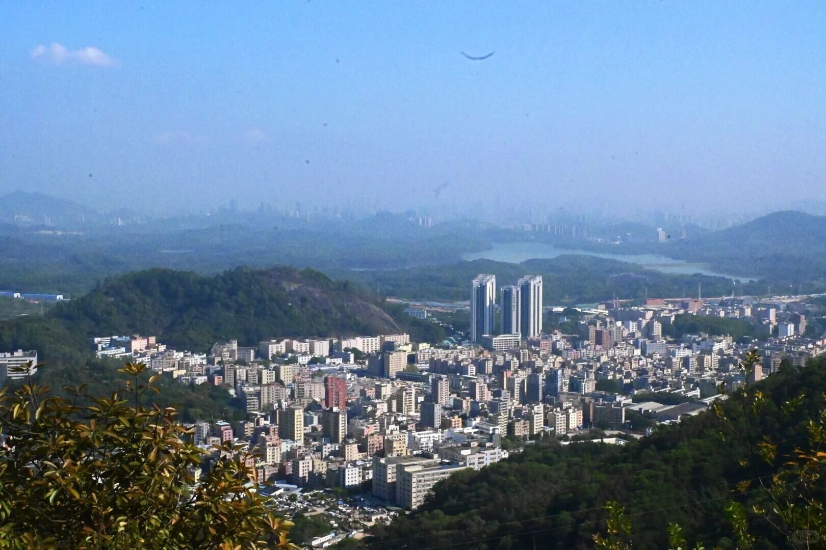 深圳Citywalk系列:凤凰山 凤岩古庙 9 吃饱走着瞧👀 来自小红书网页版