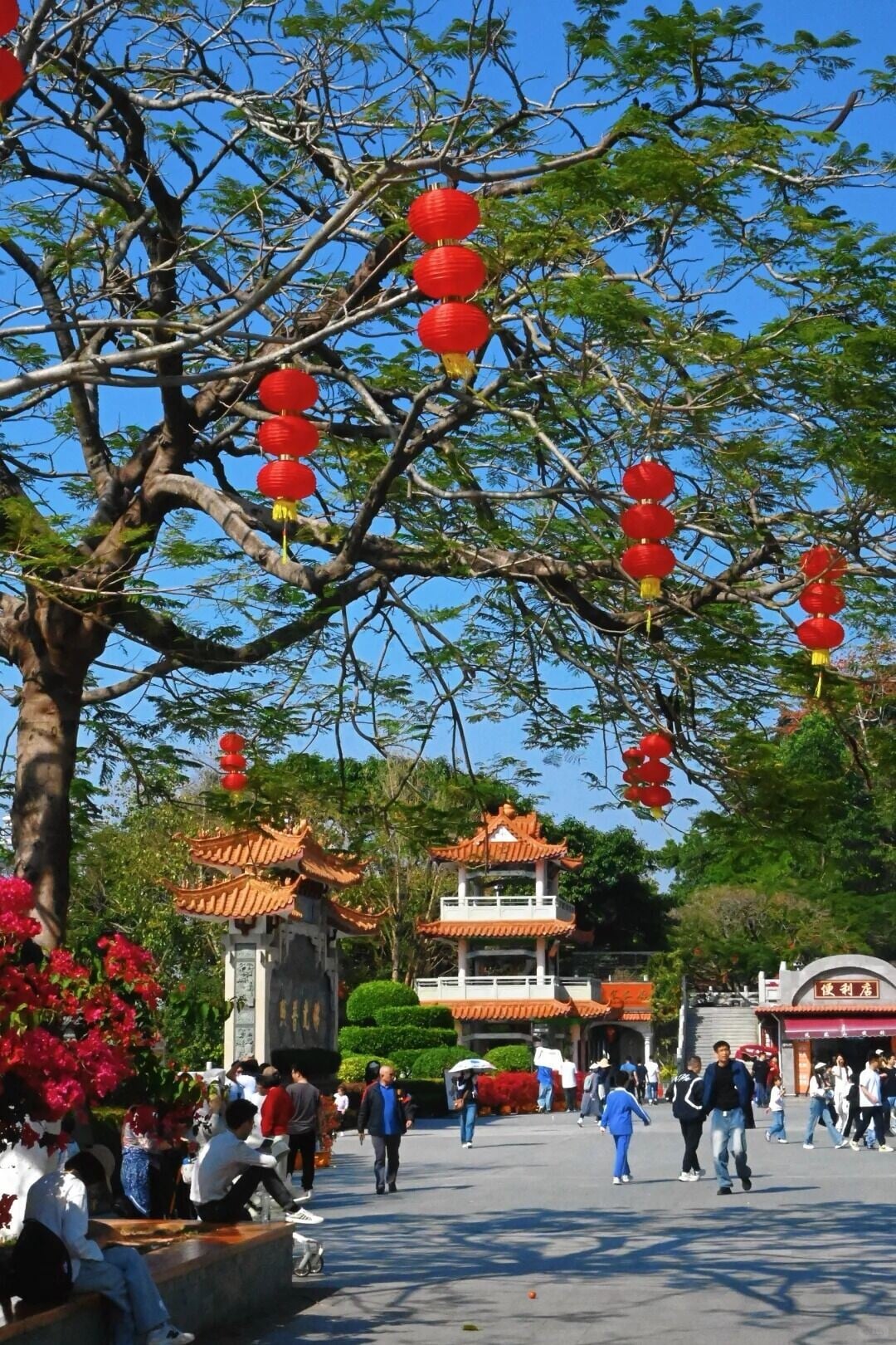 深圳Citywalk系列:凤凰山 凤岩古庙 3 吃饱走着瞧👀 来自小红书网页版