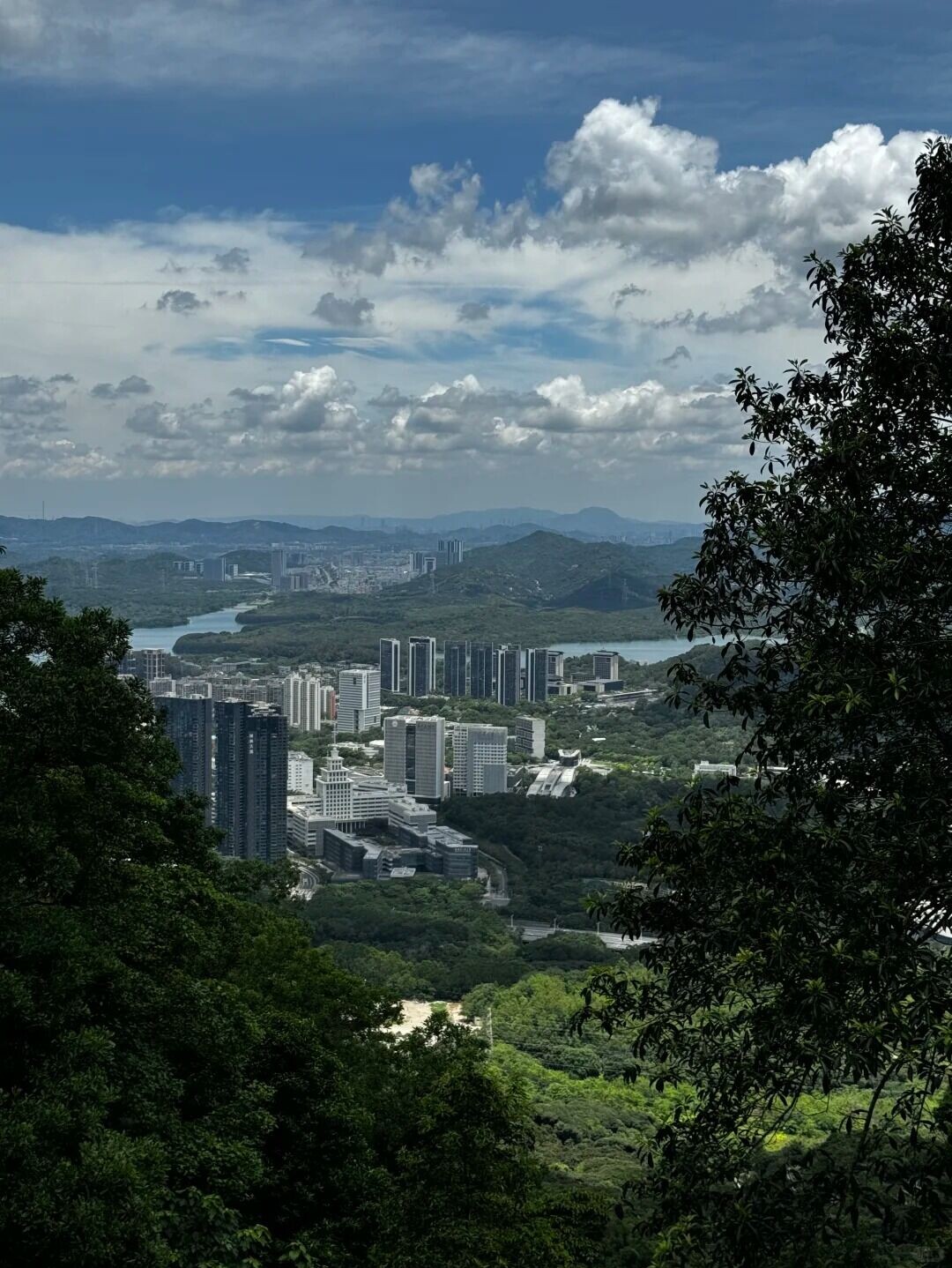 登山小白第一次爬山选择—塘朗山🫴 12 碎碎念的小张 来自小红书网页版