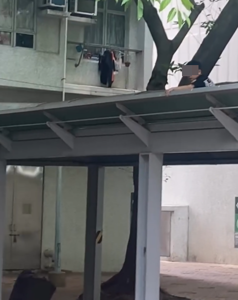 一名男童爬上天水圍天恒邨恒貴樓對開的行人通道上蓋的危險位置,保安報警求助,消防到場將男童帶回安全位置(Threads)