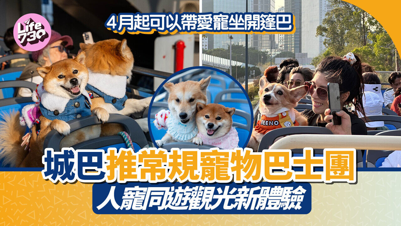 4月起可以帶愛寵坐開篷巴！城巴推常規寵物巴士團 人寵同遊觀光新體驗