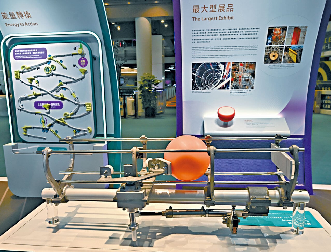 香港科學館 野外生態攝影年展 香港科學館35周年展覽